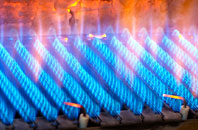 Roxwell gas fired boilers